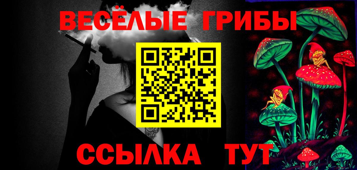 Галлюциногенные грибы Psilocybe Брянск