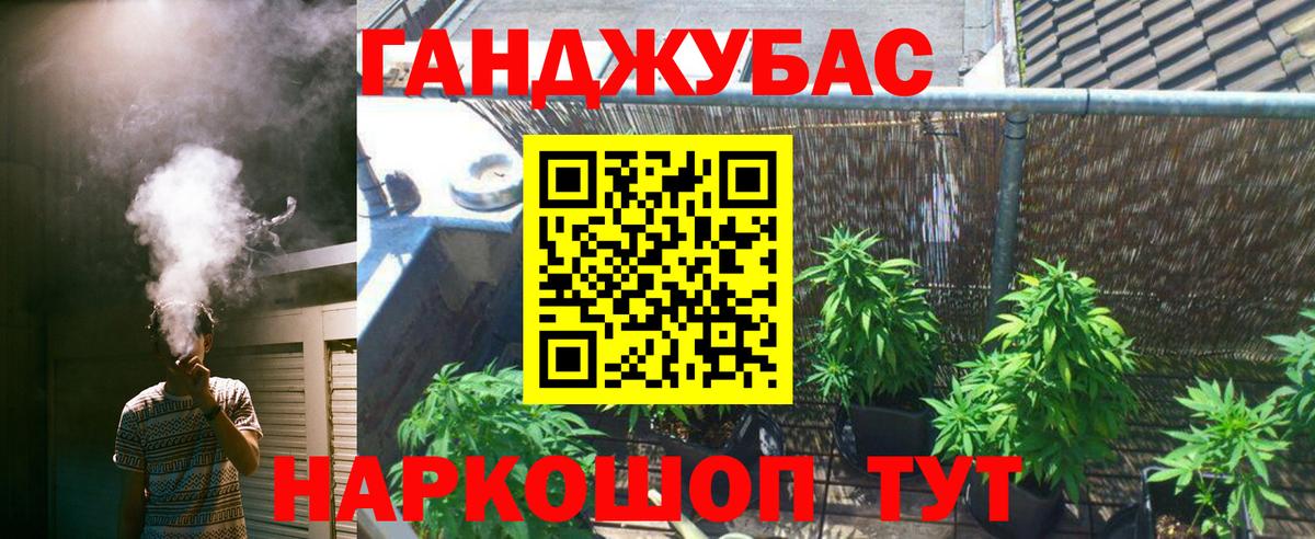 Шишки марихуана конопля Брянск